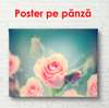 Poster - Pink rose, 90 x 60 см, Framed poster, Flowers