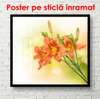 Poster - Flori portocalii pe un fundal delicat, 100 x 100 см, Poster înrămat, Flori