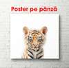 Poster - Pui de tigru pe un fundal alb, 100 x 100 см, Poster inramat pe sticla, Minimalism