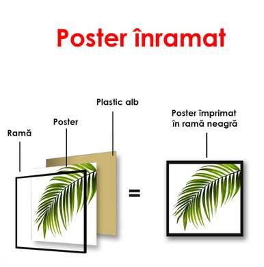 Poster - Sheet on white background, 100 x 100 см, Framed poster, Botanical