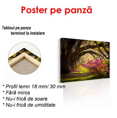 Poster - Parcul cu ramuri arcuite lângă copaci, 90 x 60 см, Poster înrămat, Natură