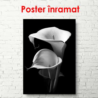 Постер - Черно белые каллы, 30 x 60 см, Холст на подрамнике, Черно Белые
