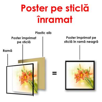 Постер - Оранжевые цветы на нежном фоне, 100 x 100 см, Постер в раме, Цветы