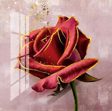 Постер - Роза с золотыми краями, 40 x 40 см, Холст на подрамнике, Цветы