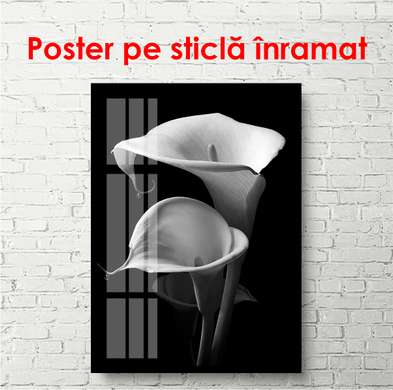 Poster - Black and white callas, 30 x 60 см, Canvas on frame, Black & White