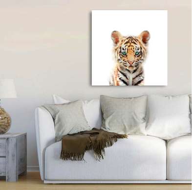 Poster - Pui de tigru pe un fundal alb, 100 x 100 см, Poster înrămat