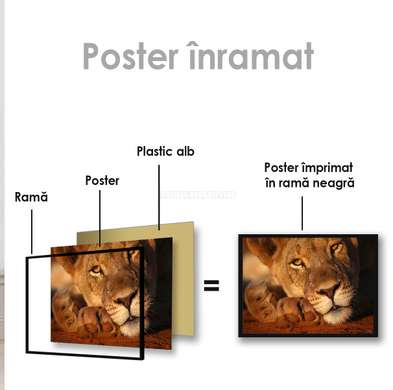 Постер, Львица, 90 x 60 см, Постер на Стекле в раме, Животные