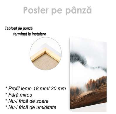 Poster - Fog in the mountains, 60 x 90 см, Framed poster on glass