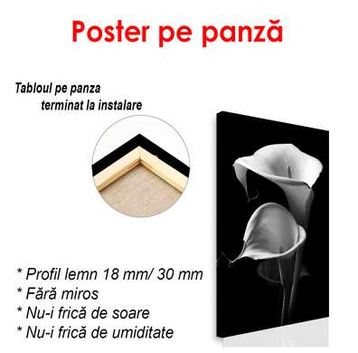 Poster - Crini de cal negru și alb, 30 x 60 см, Panza pe cadru, Alb Negru