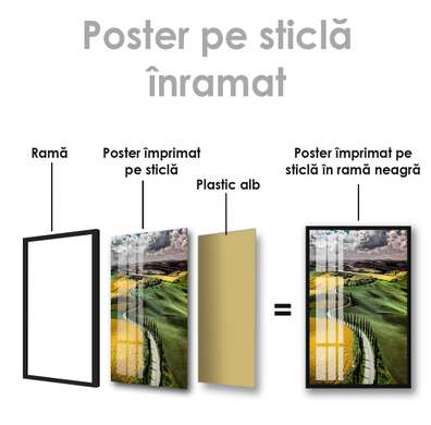 Постер - Желтое против Зеленого, 60 x 90 см, Постер на Стекле в раме, Природа
