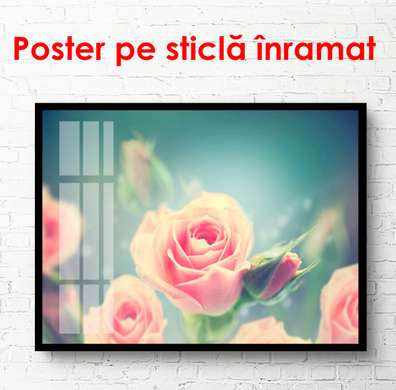 Постер - Розовая роза, 90 x 60 см, Постер в раме, Цветы