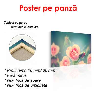 Poster - Trandafirul roz, 90 x 60 см, Poster înrămat, Flori