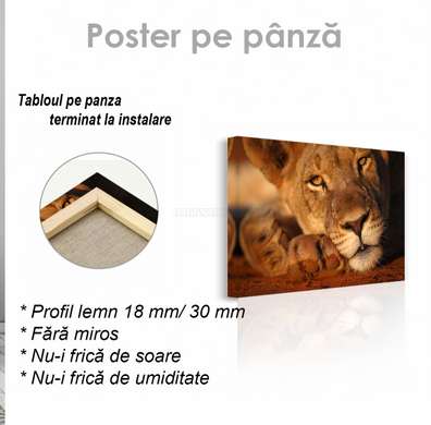 Постер, Львица, 90 x 60 см, Постер на Стекле в раме, Животные