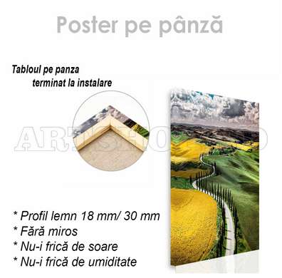 Poster - Yellow vs Green, 60 x 90 см, Framed poster on glass, Nature