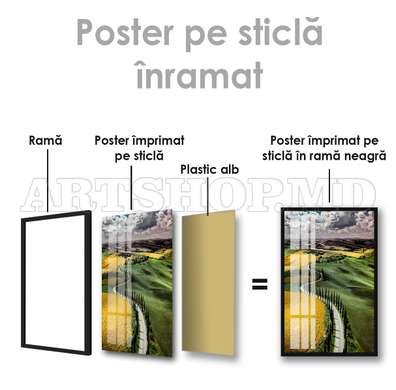 Poster - Yellow vs Green, 60 x 90 см, Framed poster on glass, Nature