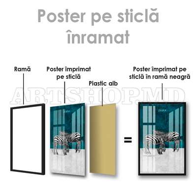 Постер, Зебры на бирюзовом фоне, 30 x 45 см, Холст на подрамнике, Животные