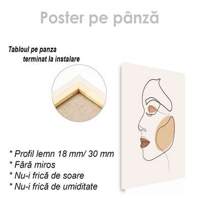 Poster - Trasaturile faciale, 60 x 90 см, Poster inramat pe sticla