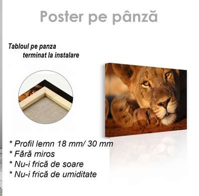 Poster, Leoaică, 90 x 60 см, Poster inramat pe sticla