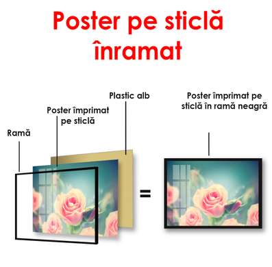 Poster - Trandafirul roz, 90 x 60 см, Poster înrămat, Flori