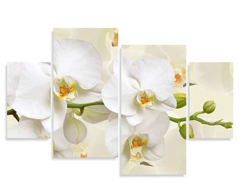 Tablou Pe Panza Multicanvas, Orhidee albă pe un fundal bej., 180 x 108