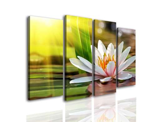 Modular picture, Lotus flower in the early morning, 106 x 60, 106 x 60