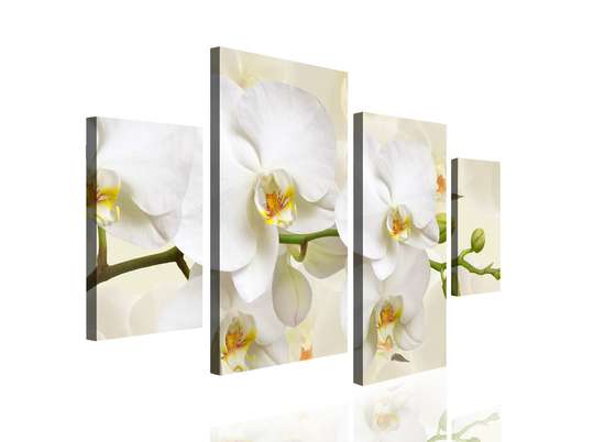 Tablou Pe Panza Multicanvas, Orhidee albă pe un fundal bej., 180 x 108