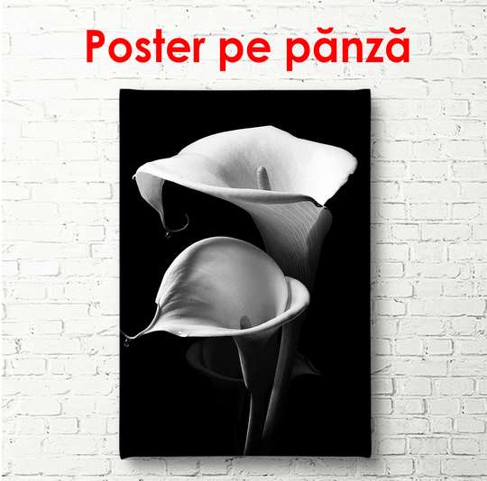 Постер - Черно белые каллы, 30 x 60 см, Холст на подрамнике