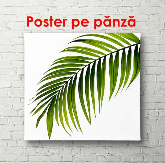 Poster - Sheet on white background, 100 x 100 см, Framed poster