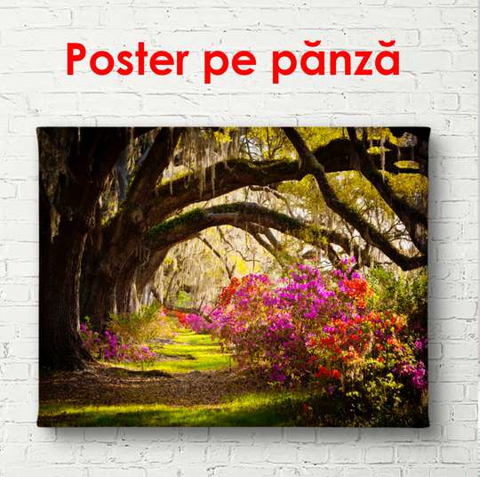 Poster - Parcul cu ramuri arcuite lângă copaci, 90 x 60 см, Poster înrămat