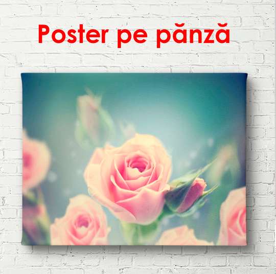 Poster - Pink rose, 90 x 60 см, Framed poster