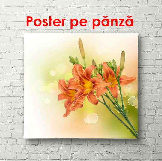 Постер - Оранжевые цветы на нежном фоне, 100 x 100 см, Постер в раме