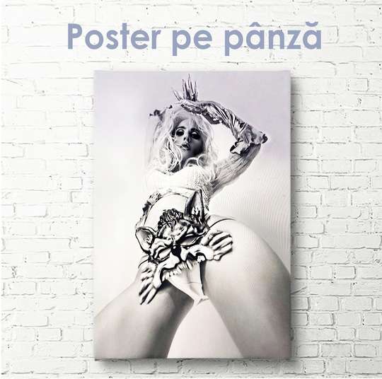 Poster - Inspiration for a photographer, 30 x 45 см, Canvas on frame, Nude