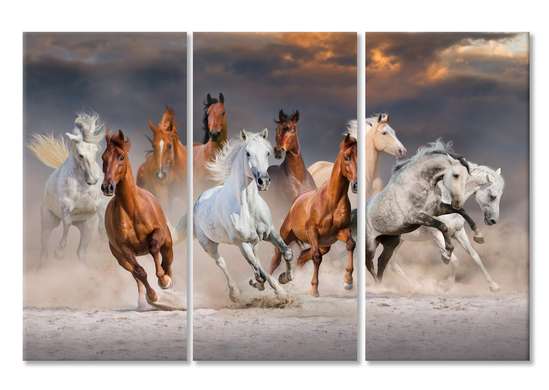 Modular picture, Horses in motion
