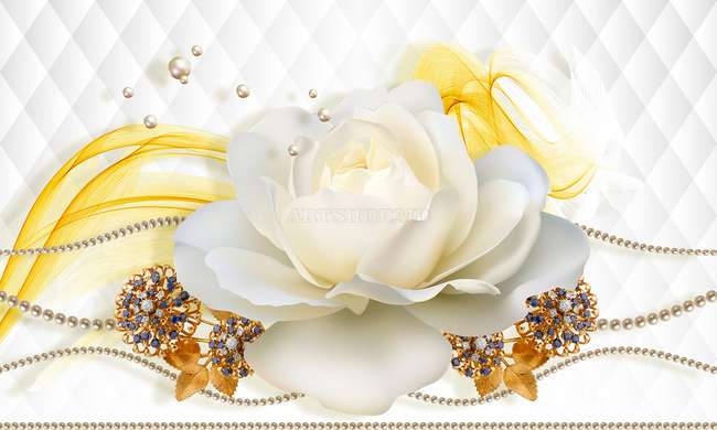 3D Wallpaper - White rose on an abstract white background