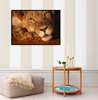 Poster, Lioness, 90 x 60 см, Framed poster on glass, Animals