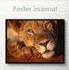 Poster, Lioness, 45 x 30 см, Canvas on frame