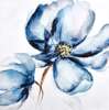 Постер - Голубой цветок, 80 x 80 см, Постер на Стекле в раме