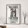 Poster - Se cauta… Harry Potter, 60 x 90 см, Poster inramat pe sticla, Citate