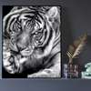 Постер, Черно-белый тигр, 60 x 90 см, Постер на Стекле в раме