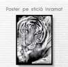 Poster, Tigru alb-negru, 60 x 90 см, Poster inramat pe sticla
