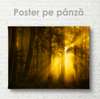 Poster - Razele solare pătrund în adâncurile pădurii, 45 x 30 см, Panza pe cadru, Natură
