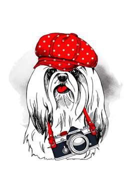 Постер - Белая маленькая собака с красной шапочкой, 60 x 90 см, Постер в раме, Минимализм