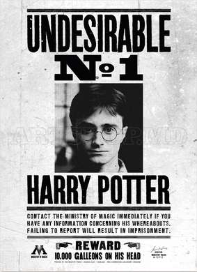 Poster - Se cauta… Harry Potter, 60 x 90 см, Poster inramat pe sticla, Citate