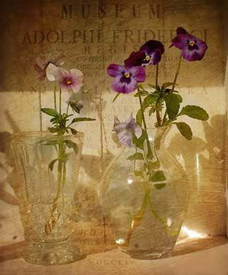 Постер - Фиолетовый весенние цветы в вазе на столе, 60 x 90 см, Постер в раме, Прованс