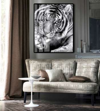 Poster, Tigru alb-negru, 60 x 90 см, Poster inramat pe sticla