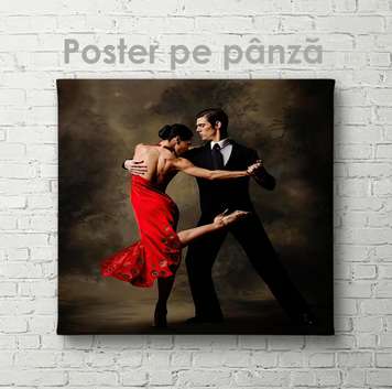 Poster - Tango, 100 x 100 см, Canvas on frame, Different