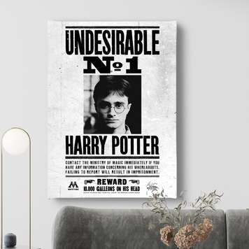 Poster - Se cauta… Harry Potter, 30 x 45 см, Panza pe cadru, Citate