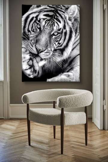 Poster, Black and white tiger, 30 x 45 см, Canvas on frame, Animals