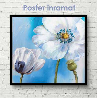 Постер - Белый цветок мака, 100 x 100 см, Постер на Стекле в раме, Прованс