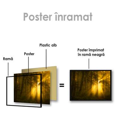Poster - Sun in the forest, 45 x 30 см, Canvas on frame
